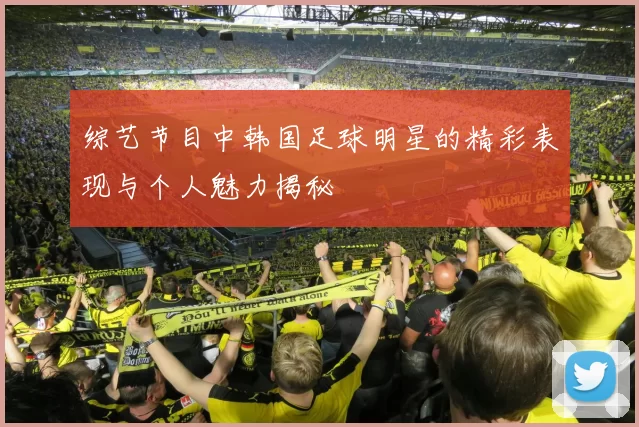 综艺节目中韩国足球明星的精彩表现与个人魅力揭秘