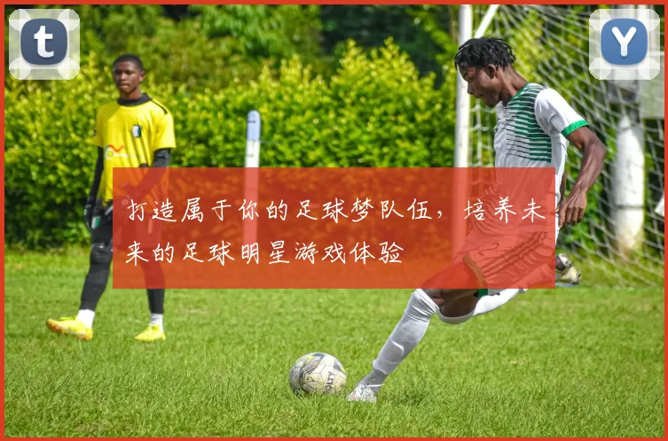 打造属于你的足球梦队伍，培养未来的足球明星游戏体验