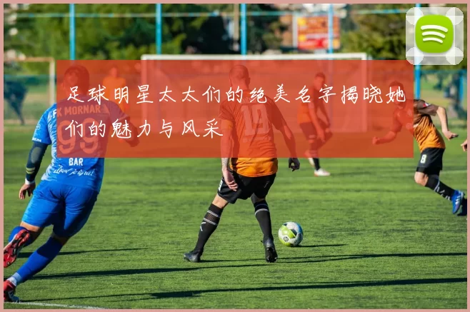 足球明星太太们的绝美名字揭晓她们的魅力与风采