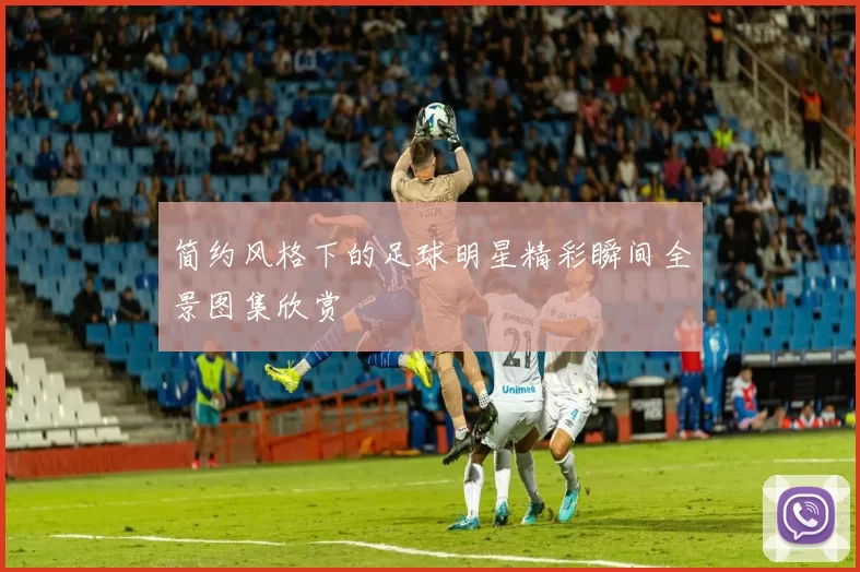 简约风格下的足球明星精彩瞬间全景图集欣赏