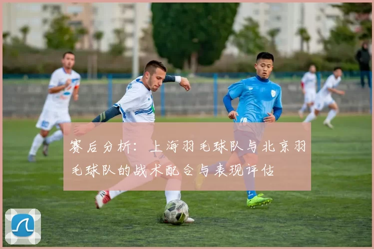 赛后分析：上海羽毛球队与北京羽毛球队的战术配合与表现评估