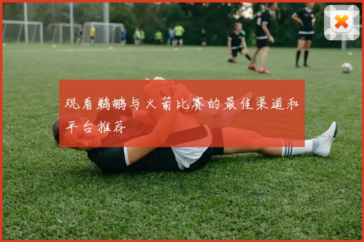 观看鹈鹕与火箭比赛的最佳渠道和平台推荐