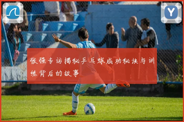 张强专访揭秘乒乓球成功秘诀与训练背后的故事