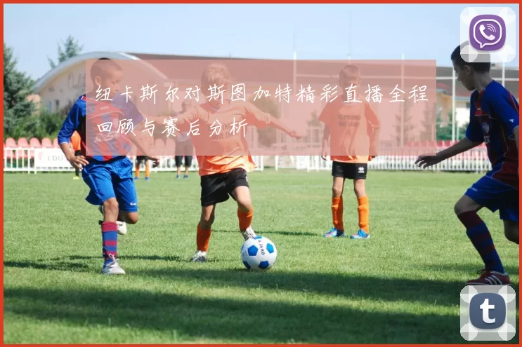 纽卡斯尔对斯图加特精彩直播全程回顾与赛后分析
