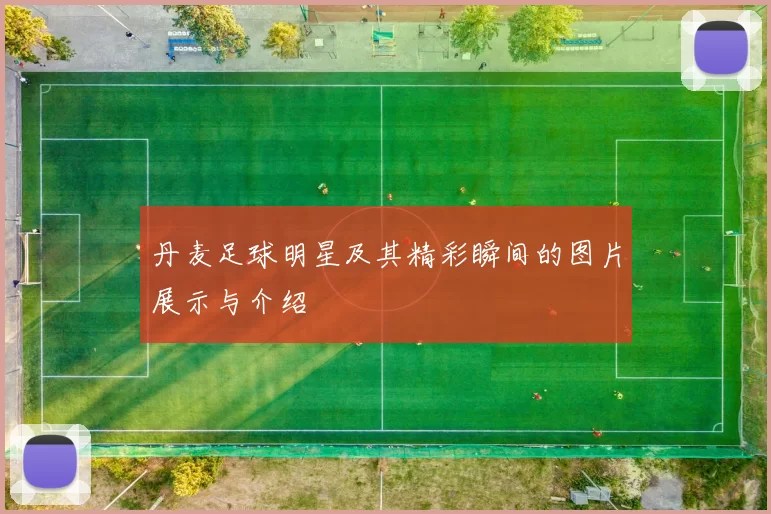 丹麦足球明星及其精彩瞬间的图片展示与介绍