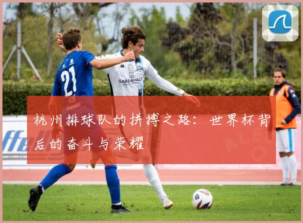 杭州排球队的拼搏之路：世界杯背后的奋斗与荣耀