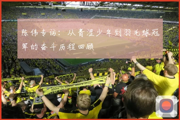 陈伟专访：从青涩少年到羽毛球冠军的奋斗历程回顾