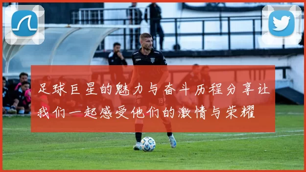 足球巨星的魅力与奋斗历程分享让我们一起感受他们的激情与荣耀