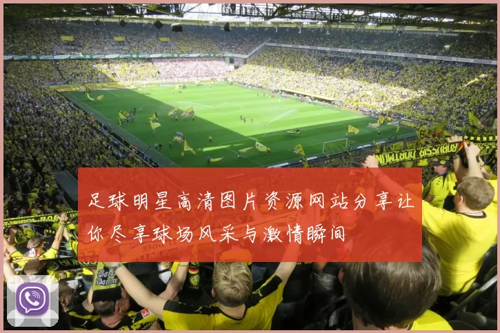 足球明星高清图片资源网站分享让你尽享球场风采与激情瞬间