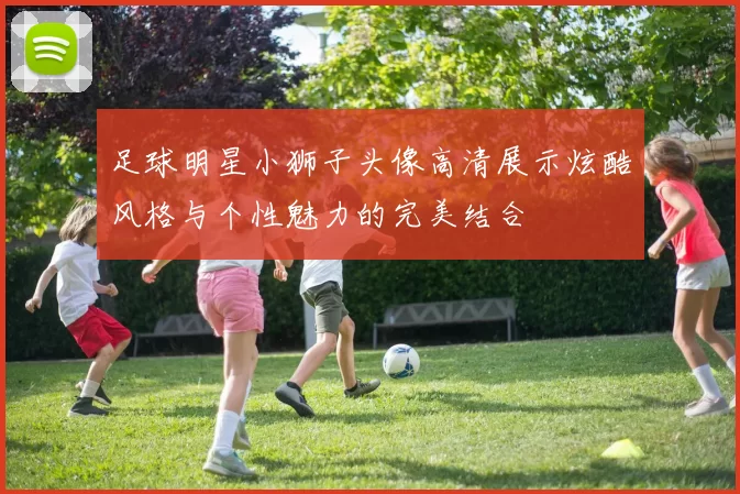 足球明星小狮子头像高清展示炫酷风格与个性魅力的完美结合