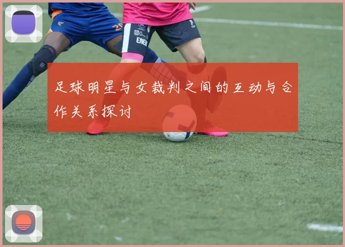 足球明星与女裁判之间的互动与合作关系探讨