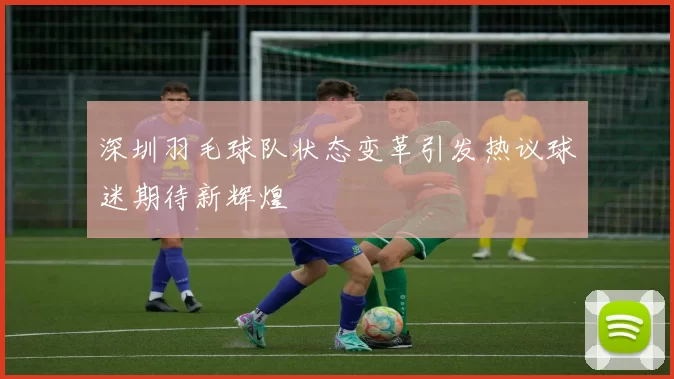 深圳羽毛球队状态变革引发热议球迷期待新辉煌