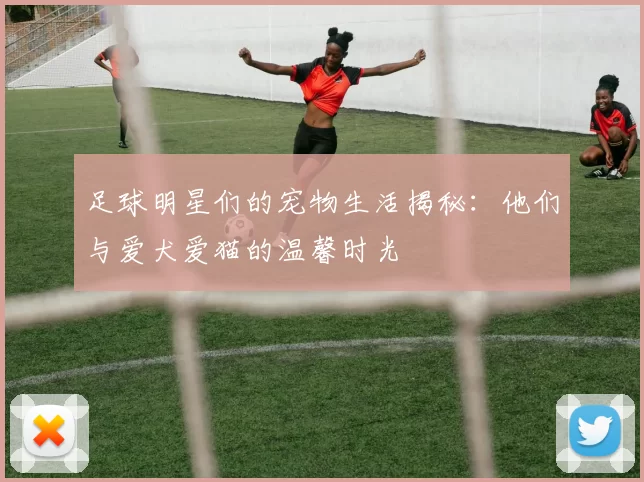 足球明星们的宠物生活揭秘：他们与爱犬爱猫的温馨时光